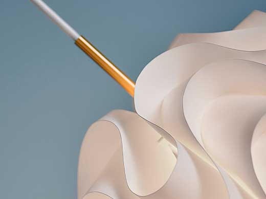 Iconic Model 172 Sinus turns 50